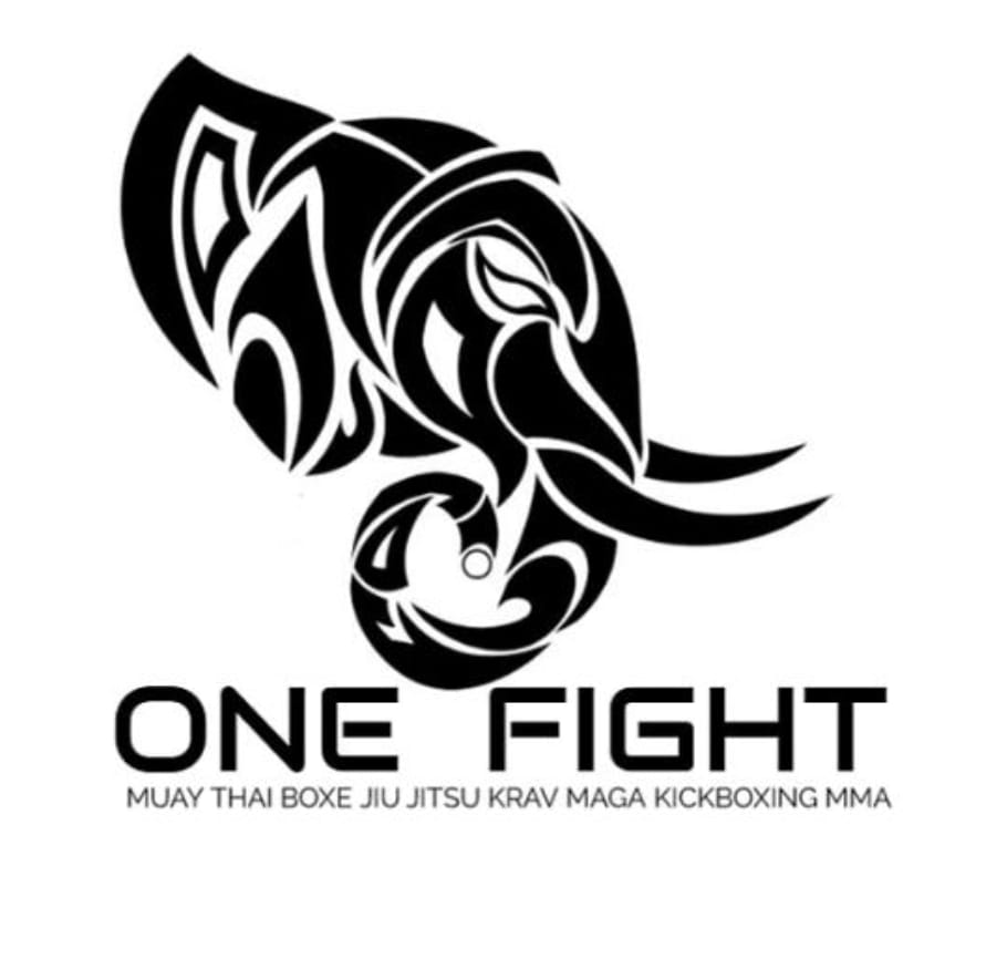 Você está visualizando atualmente EQUIPE ONE FIGHT MUAYTHAI